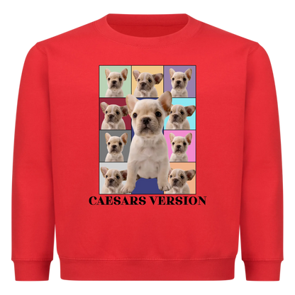 Personalisiertes Sweatshirt - Retro